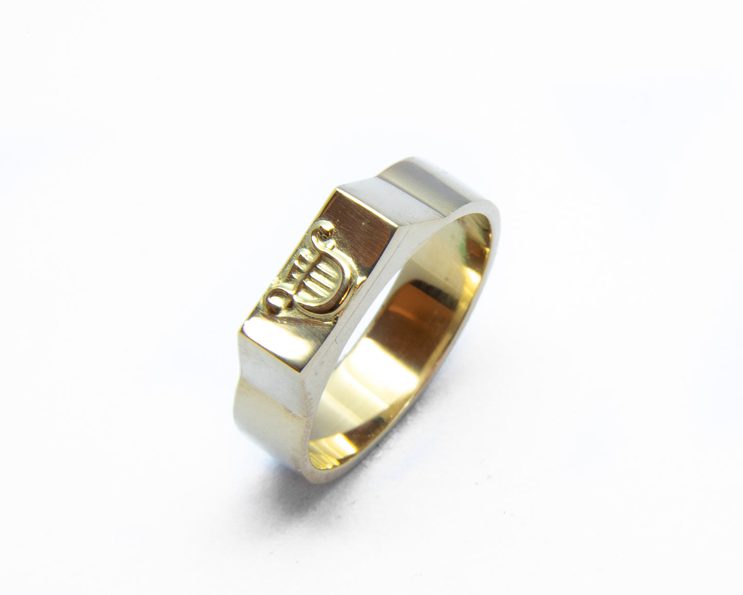 Doktorring PhD Universitet Oslo